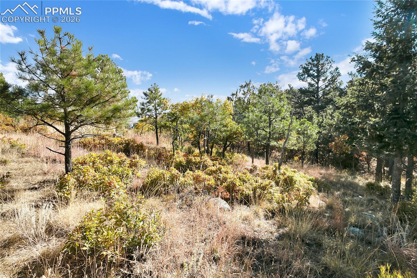 Photo 15 of 4688 Stone Manor Heights, Colorado Springs