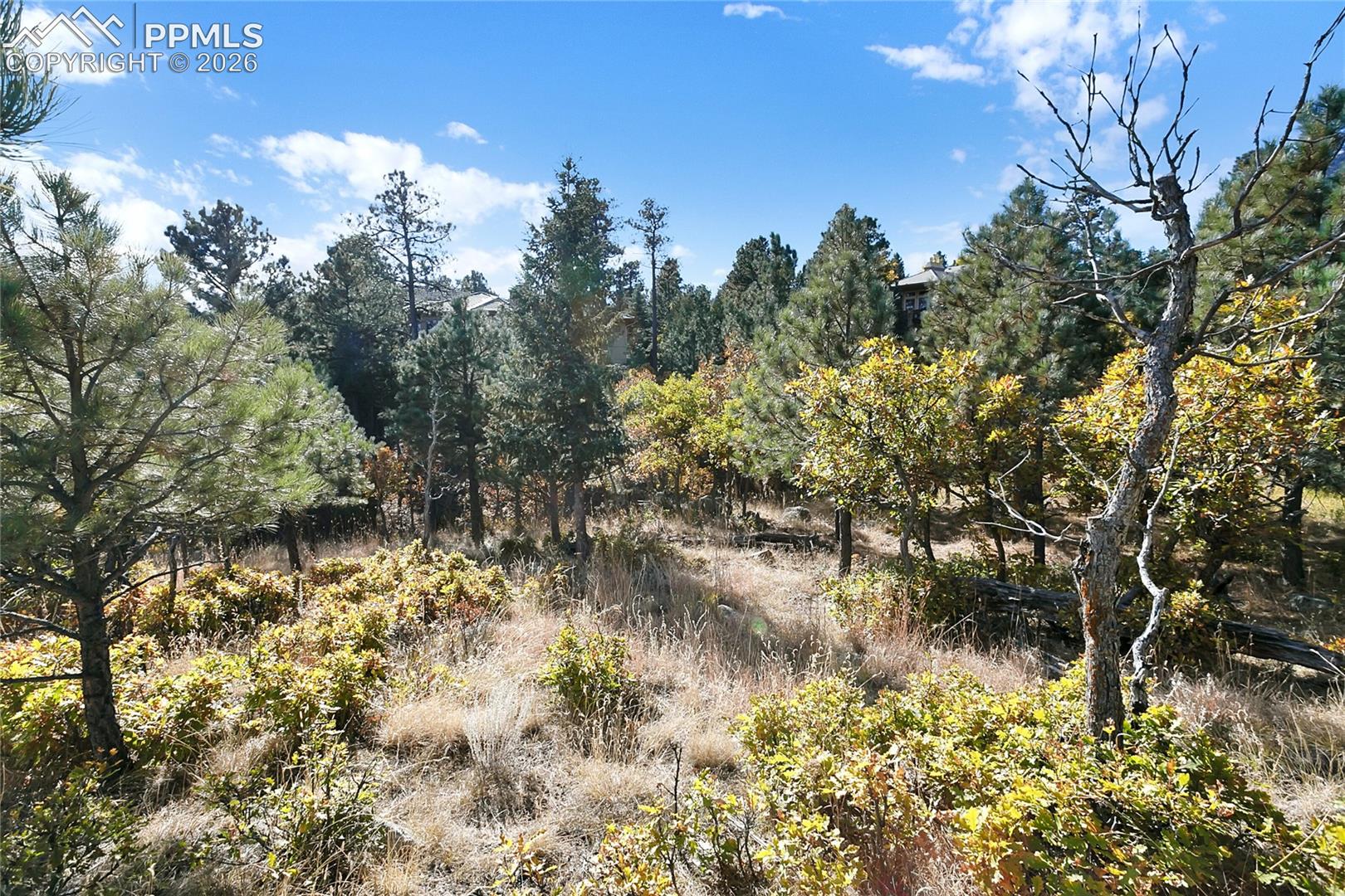 Photo 17 of 4688 Stone Manor Heights, Colorado Springs