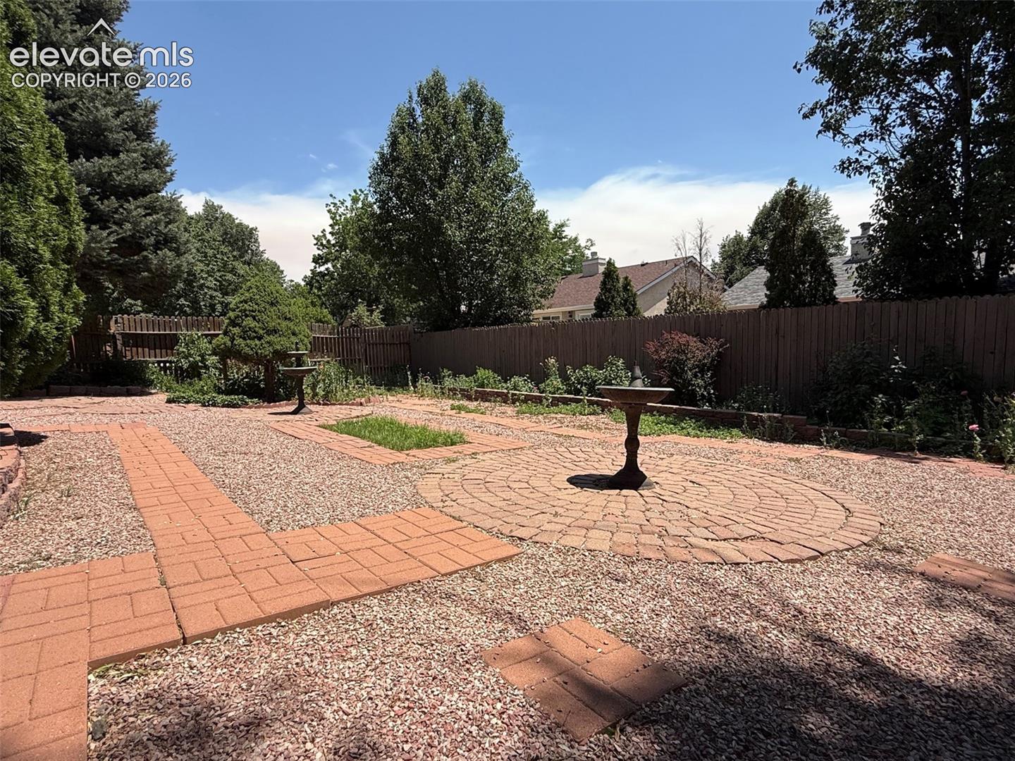 Back yard