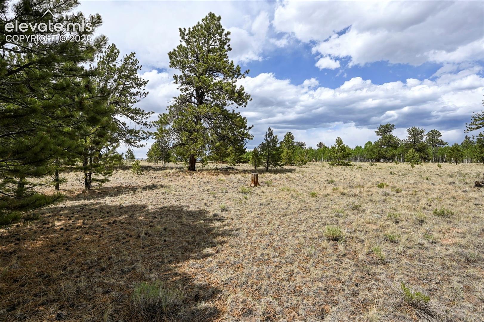 Photo 15 of 614 Yellowstone Road, Hartsel