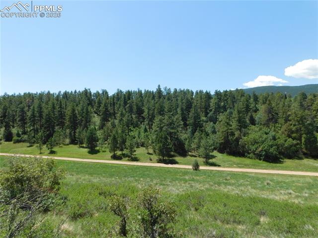 Photo 15 of 4668 Comanche Drive, Larkspur