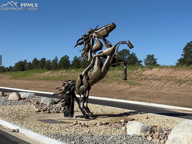 Photo 10 of 15557 Fringe Place, Colorado Springs