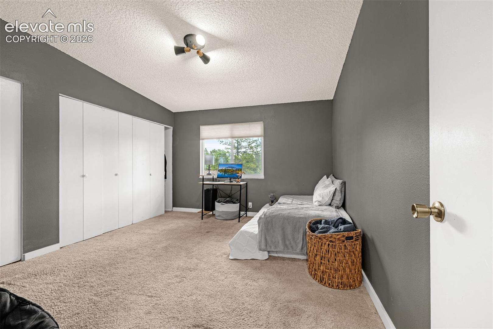 Carpeted flooring with painted walls, a window with a roller shade, and a flush mount ceiling light fixture