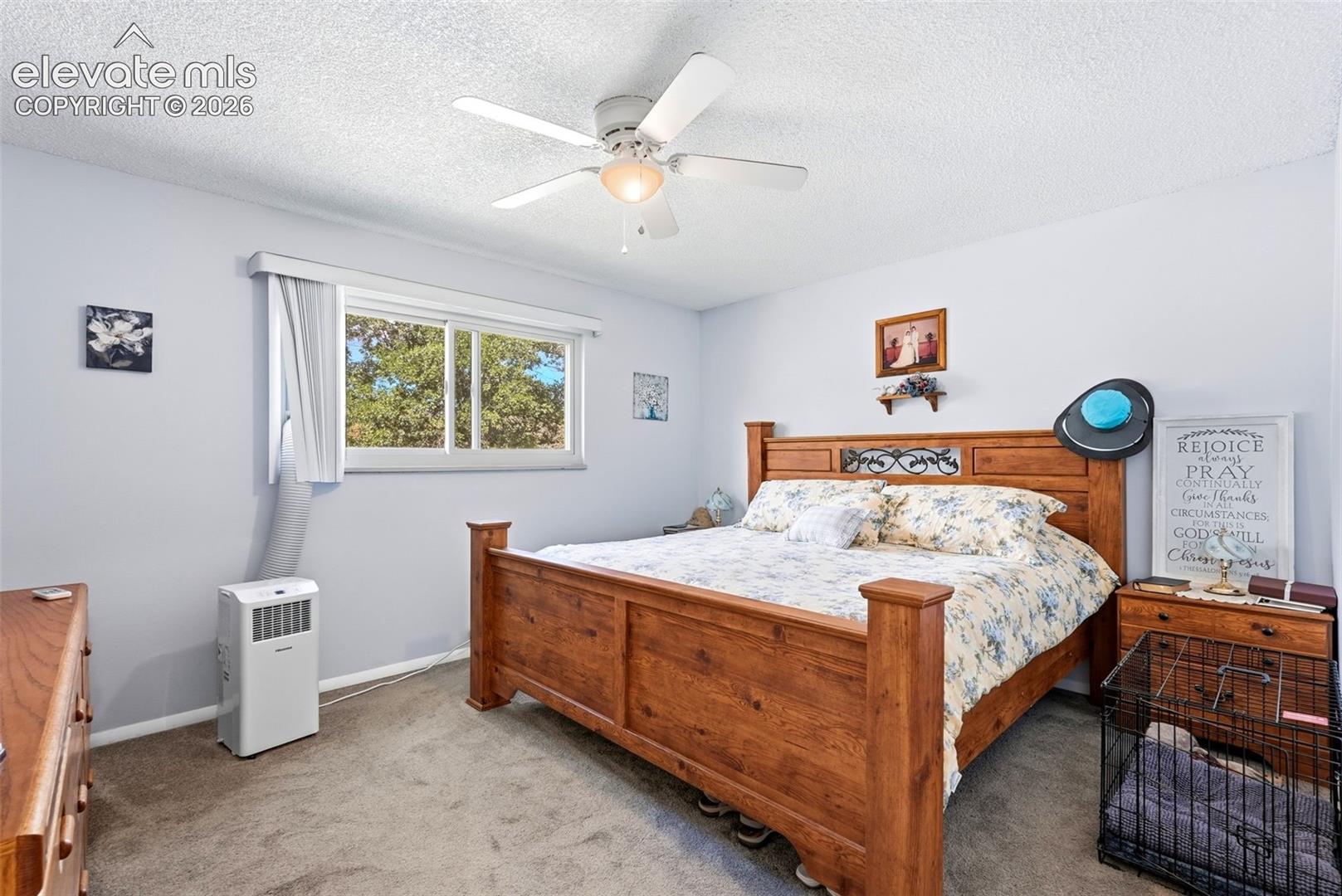 Photo 20 of 824 Squire Street, Colorado Springs