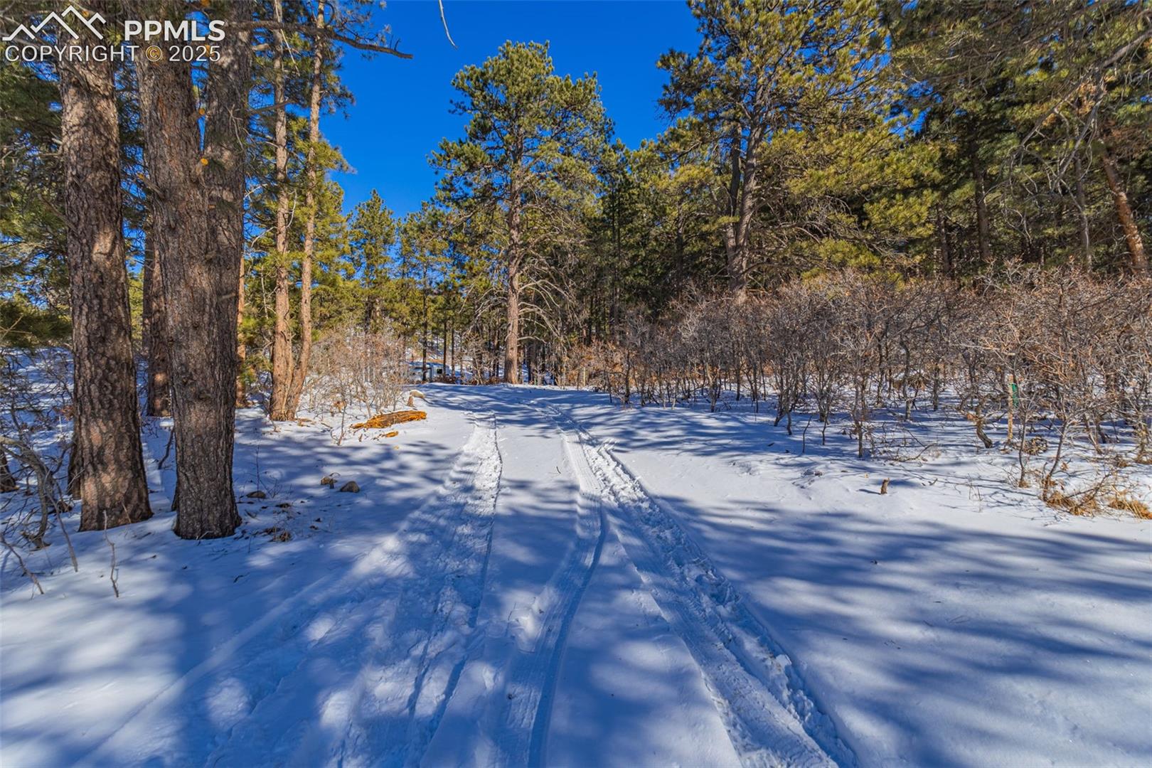 Photo 16 of 14420 S Perry Park Road, Larkspur