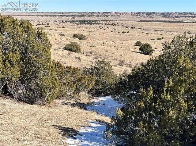 Photo 31 of PAR 53 Horse Creek Road, Pueblo