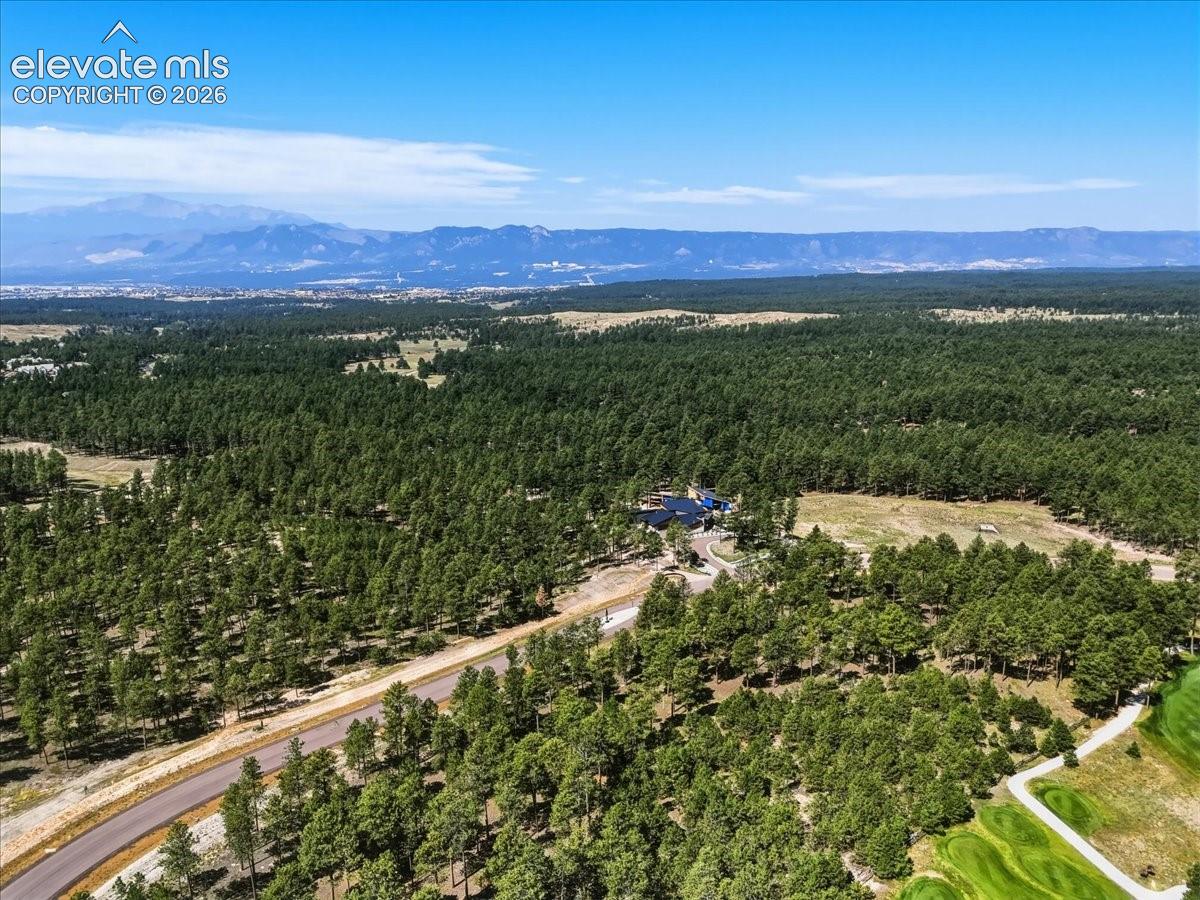 Photo 9 of 14931 Quartz Creek Drive, Colorado Springs