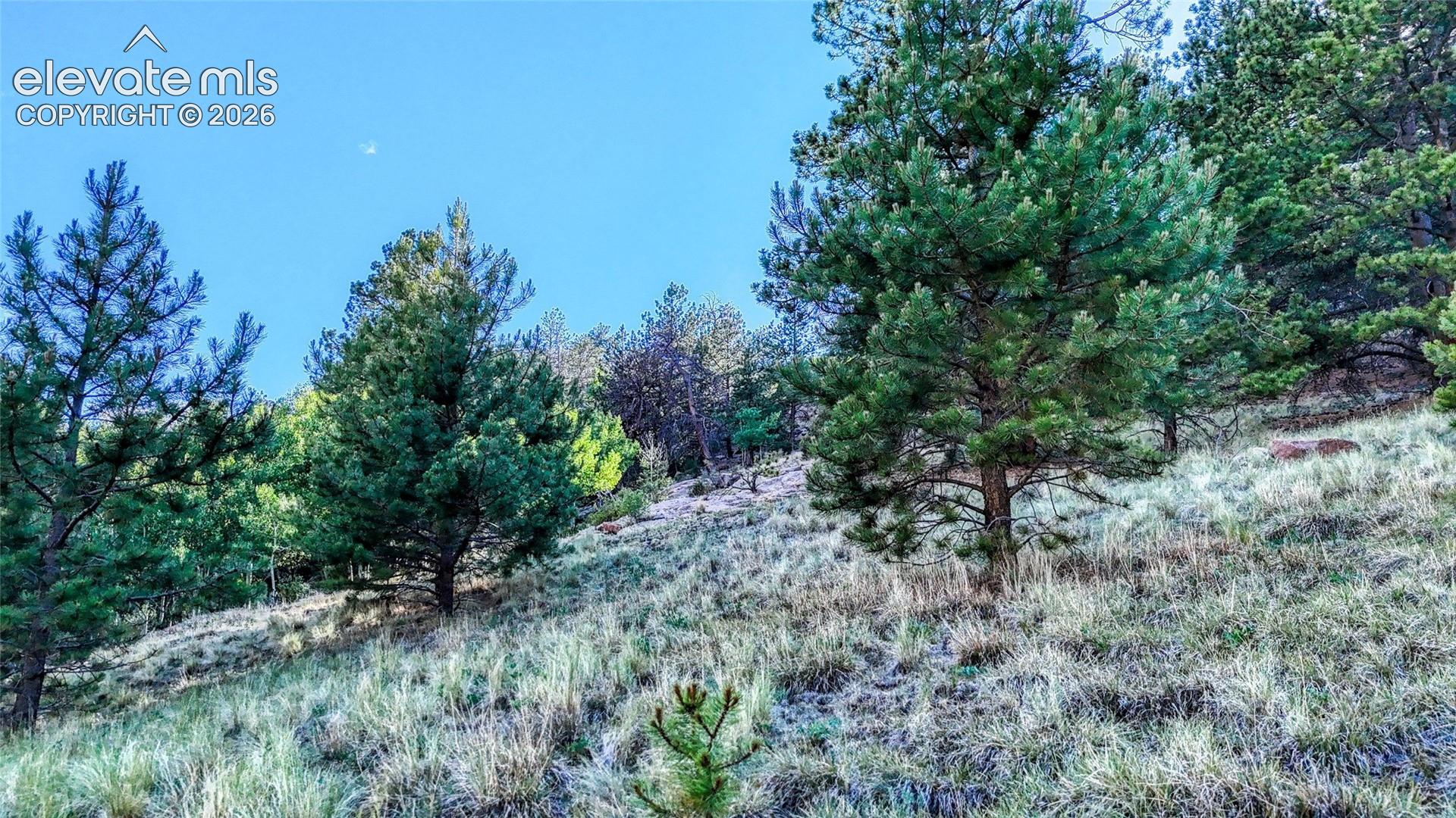 Photo 11 of 83 Penrose Circle, Cripple Creek