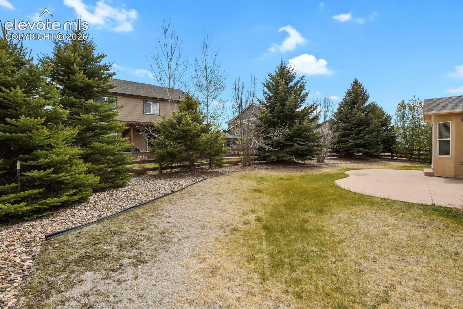 Expansive backyard featuring a curved concrete patio, established evergreen trees, a wooden fence, and a decorative rock border