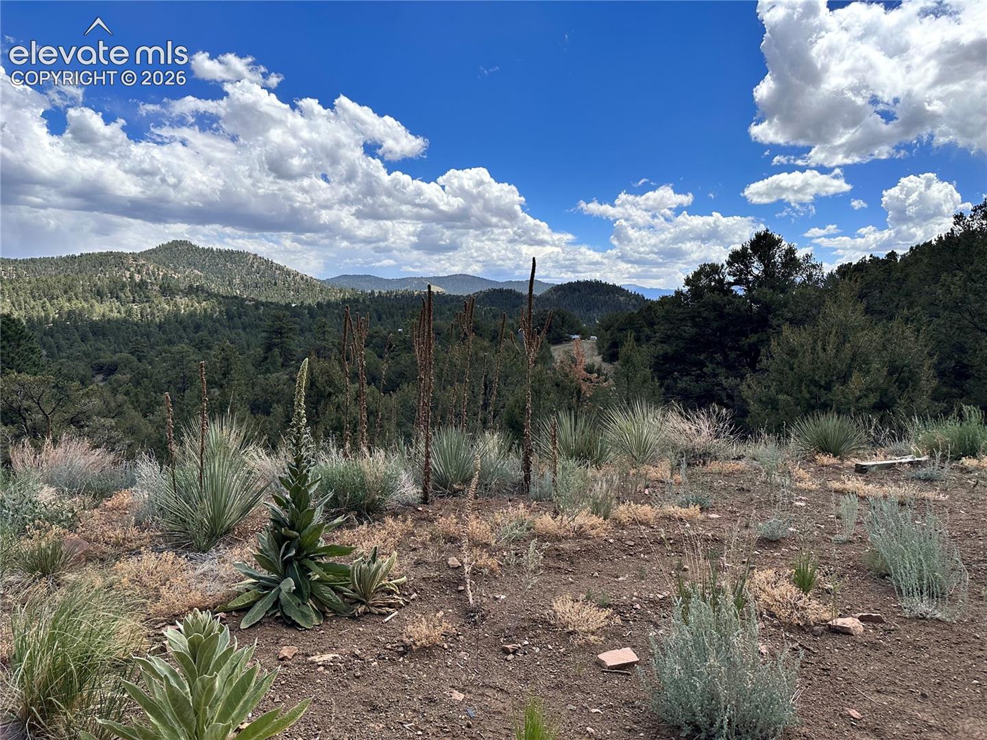 Leveled area with beautiful views