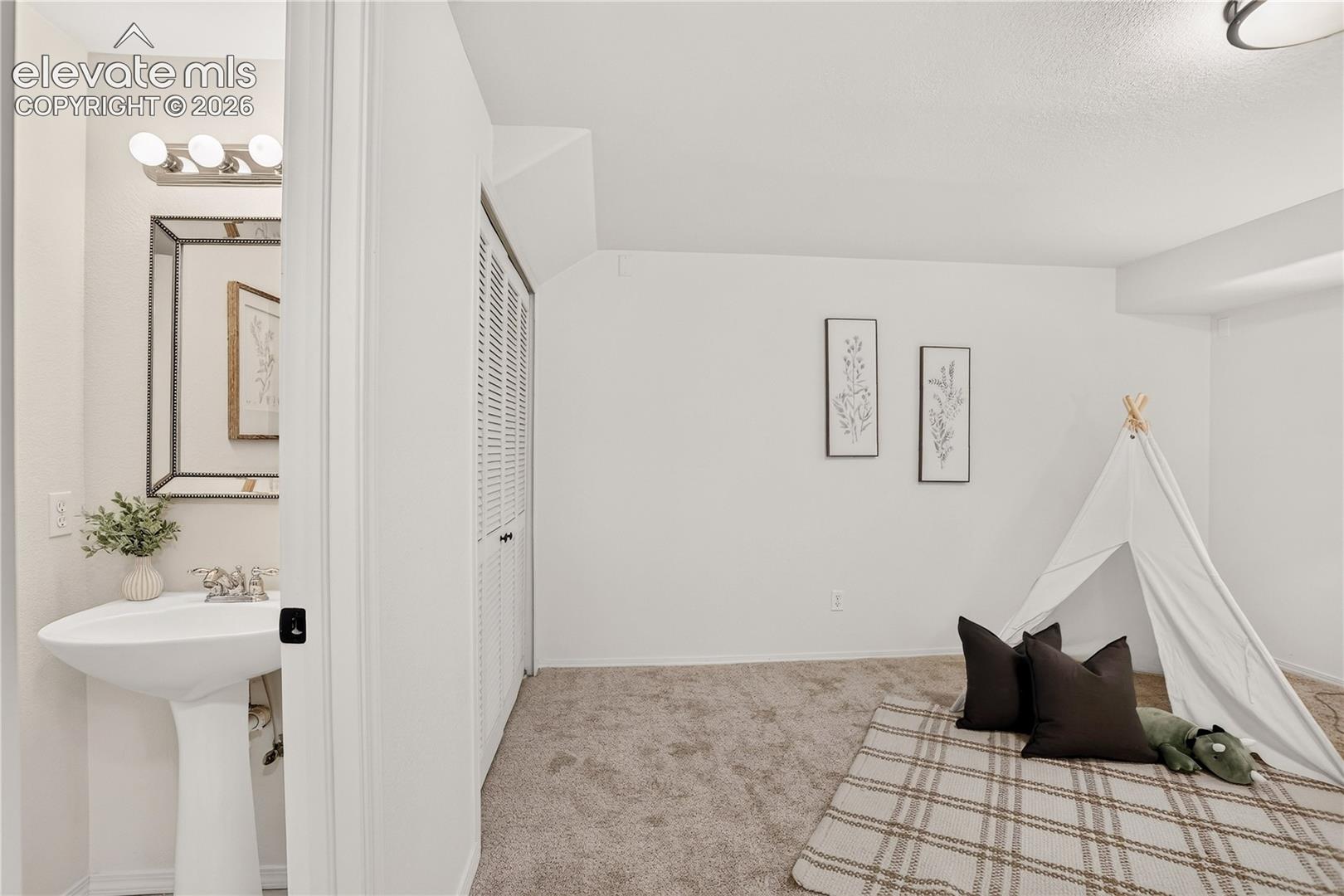 Bedroom #4 in basement with closet and half bath.