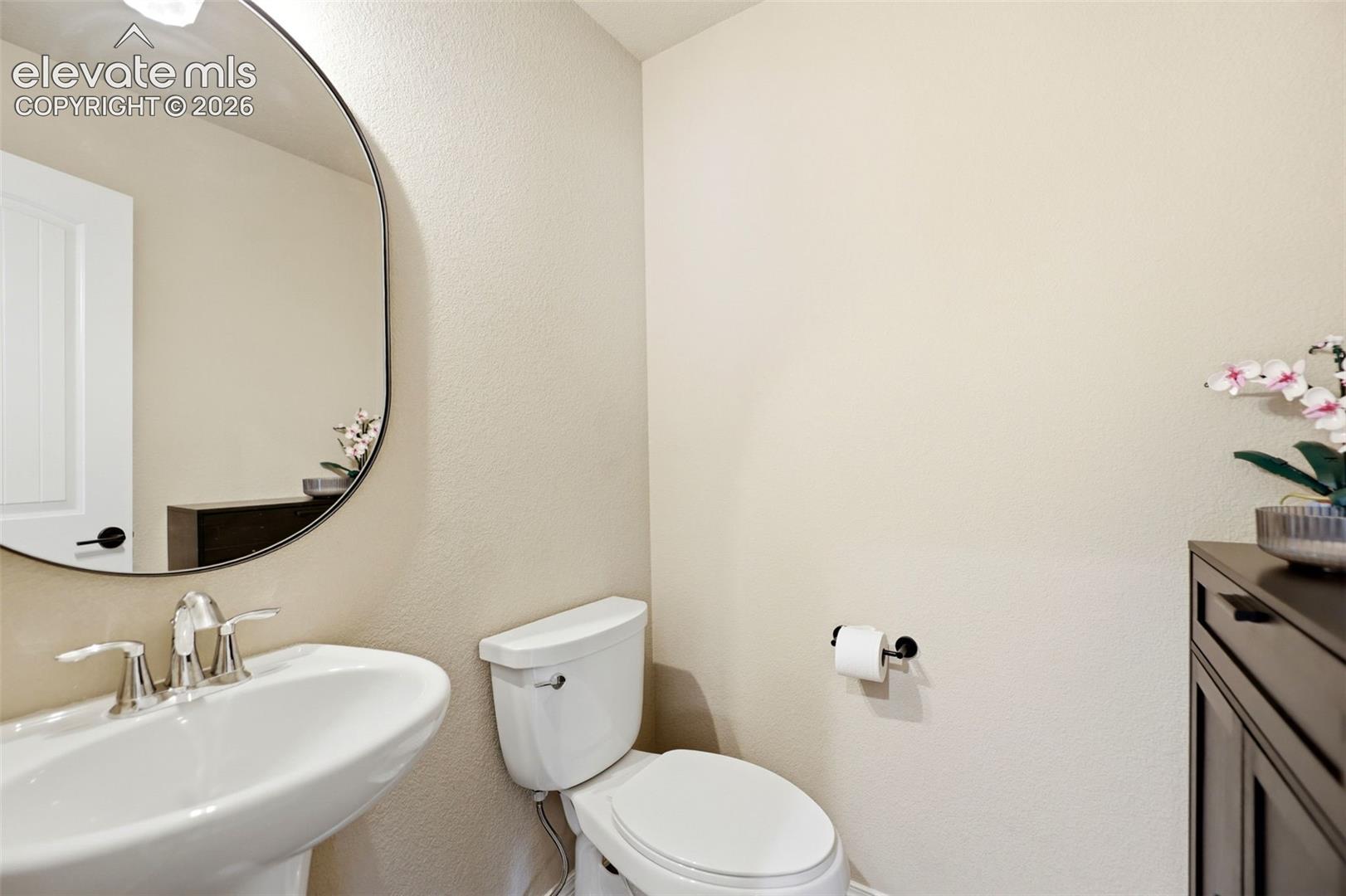 Pedestal sink with a polished chrome faucet, oval wall mirror, and a dark wood-finish cabinet