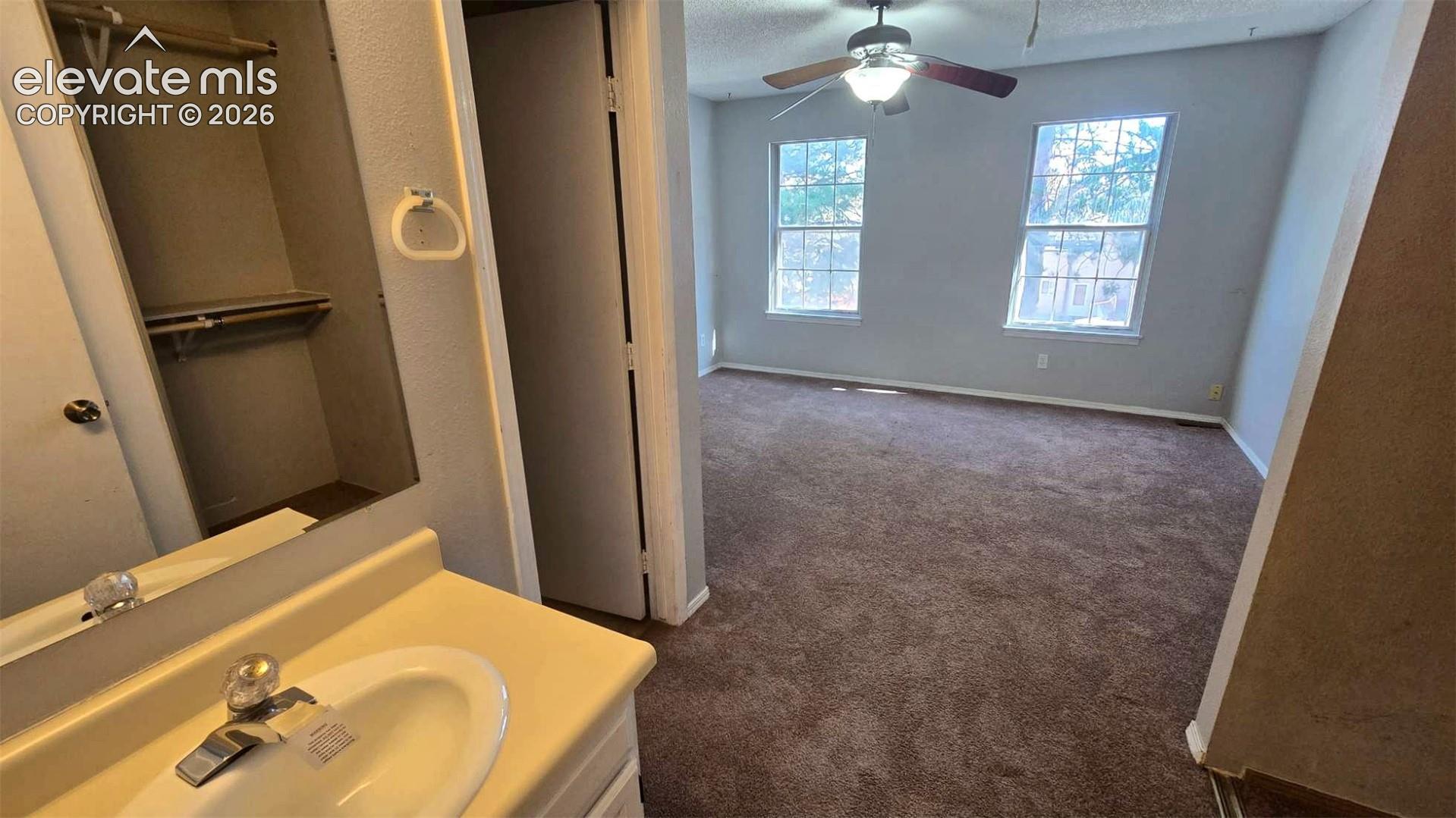 Vanity featuring an integrated sink, dual windows, carpeted flooring, and a ceiling fan with integrated lighting