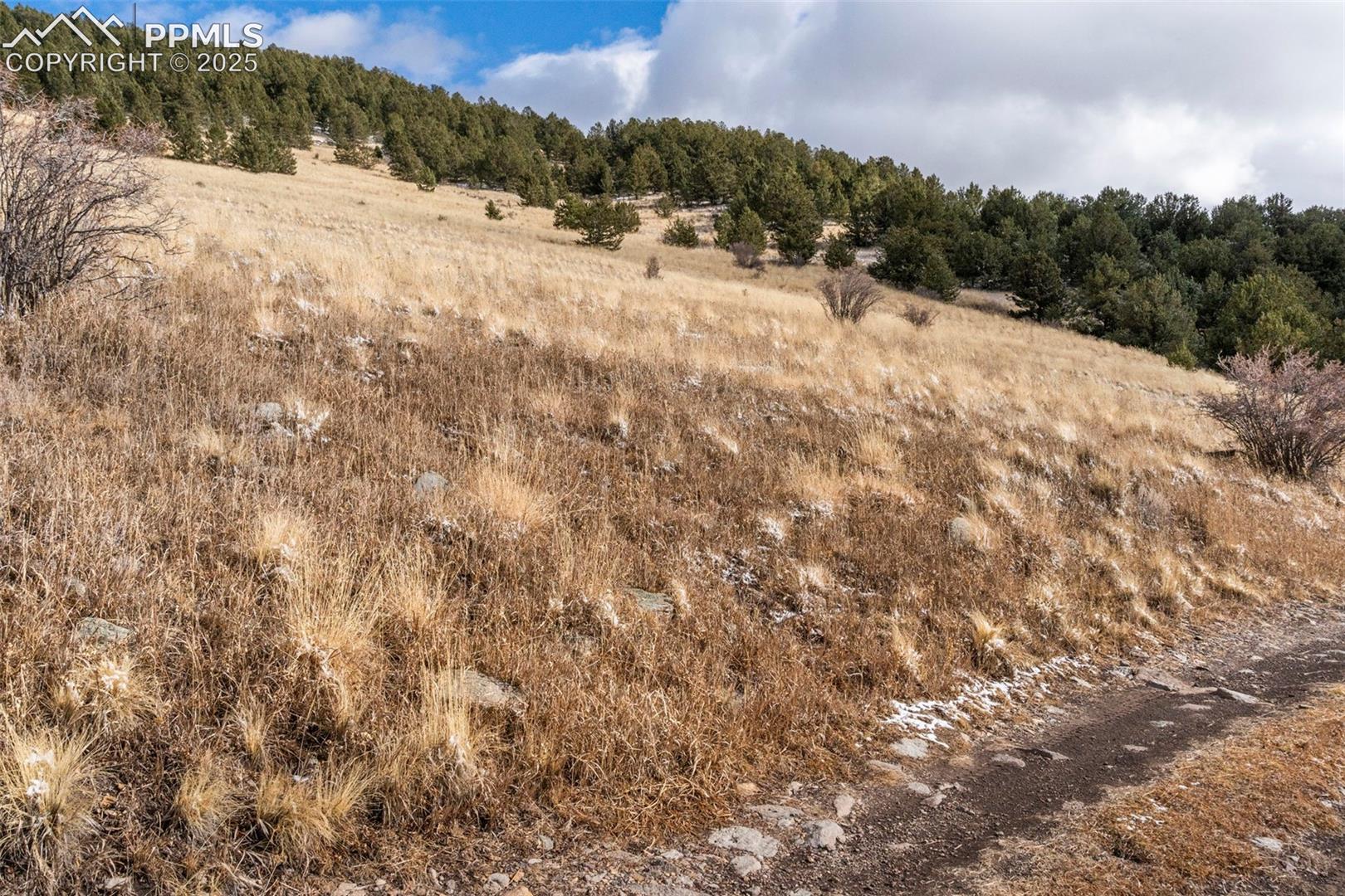 Photo 11 of Private Road, Cripple Creek