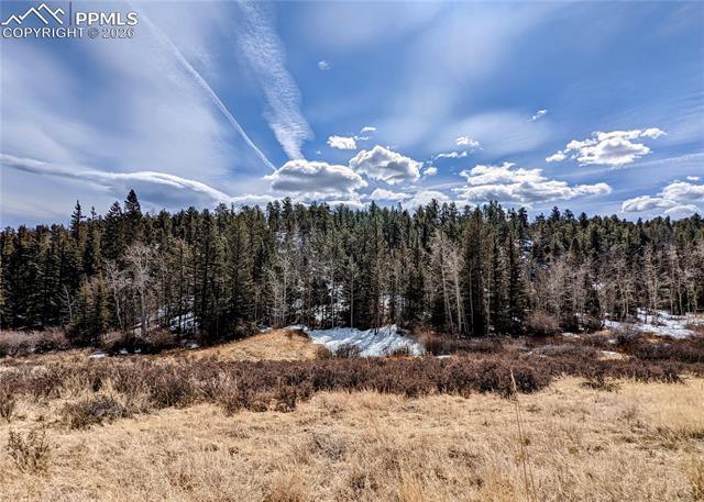 1620 Park Ridge Dr, Guffey, CO 80820