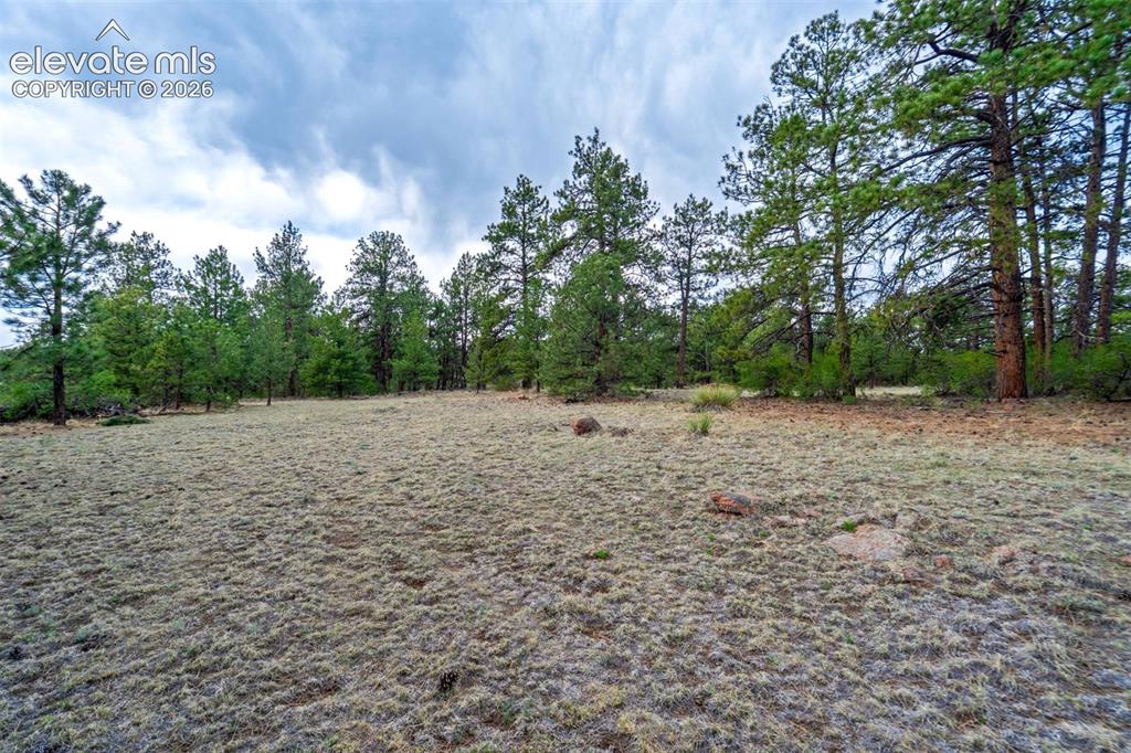 Photo 10 of Tract 103 Doe Valley Road, Guffey
