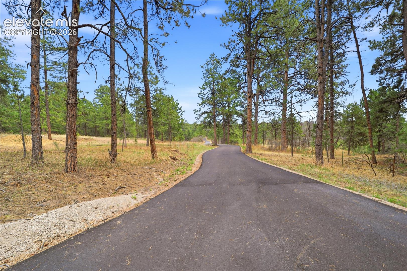 Photo 8 of 15950 Roller Coaster Road, Colorado Springs