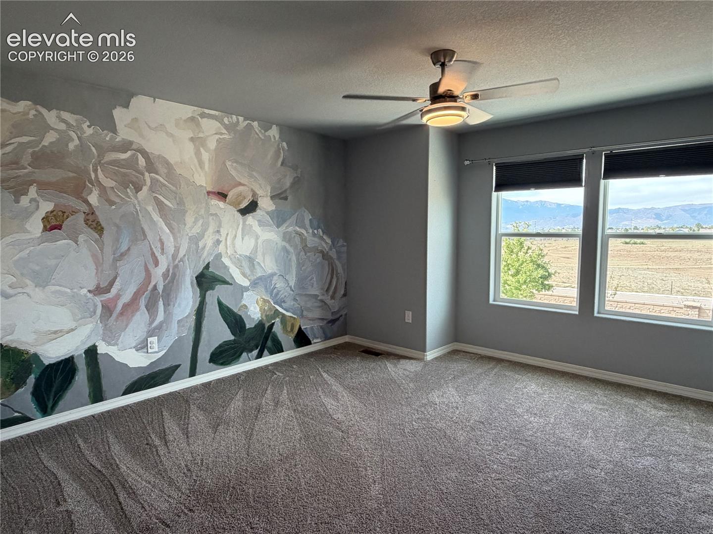 Wall-to-wall carpeting, two large windows, and a ceiling fan with integrated lighting
