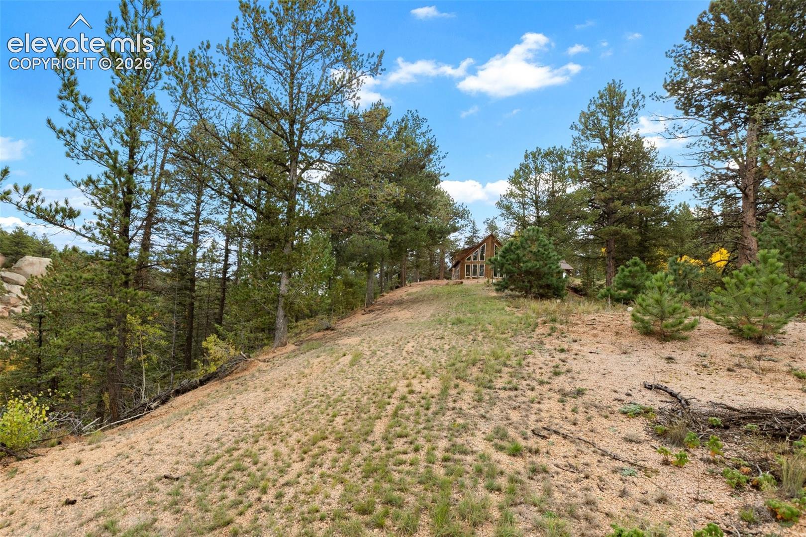 A-frame architectural style residence with multiple windows, surrounded by mature evergreen trees
