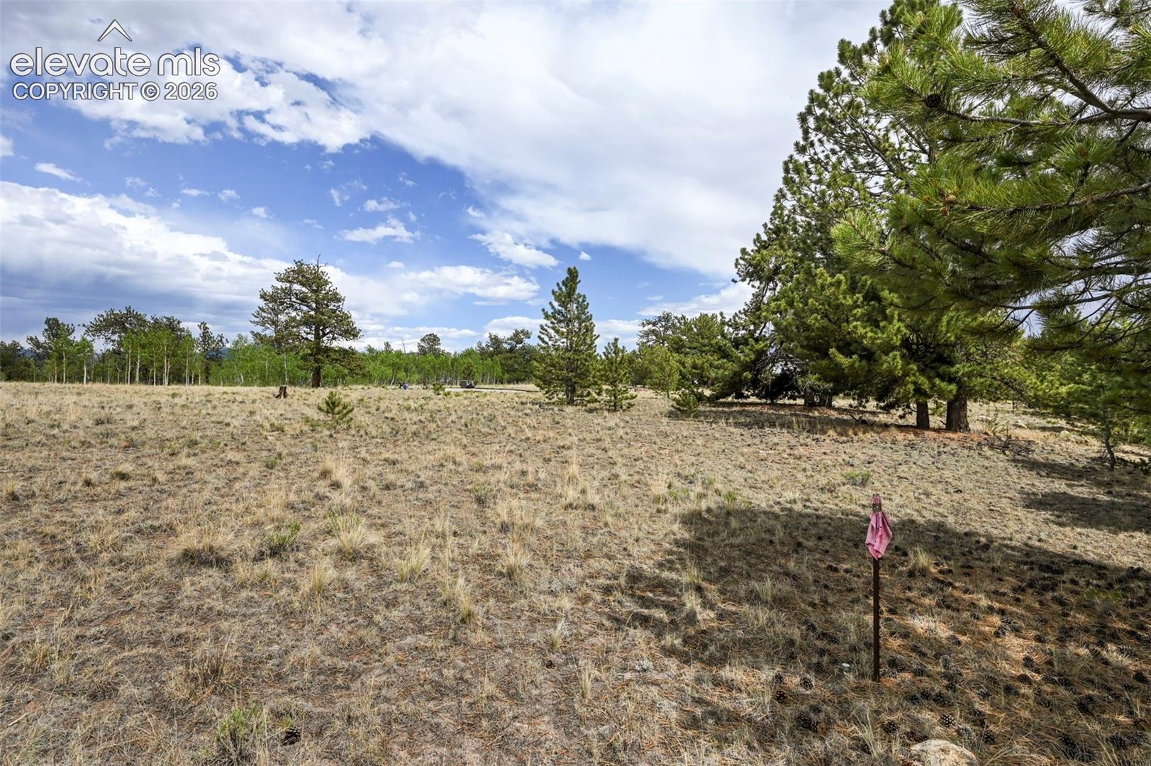 Photo 13 of 614 Yellowstone Road, Hartsel