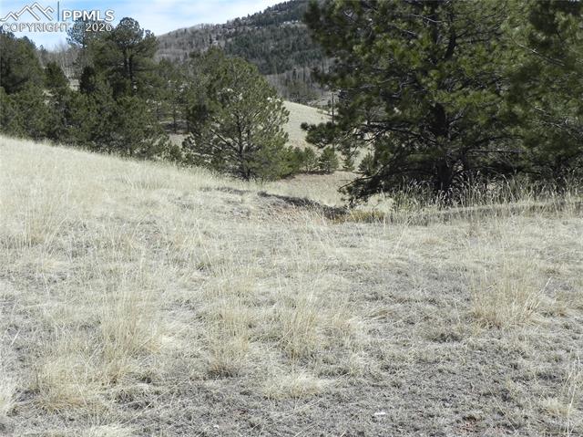 Photo 9 of 1087 Monarch Drive, Cripple Creek