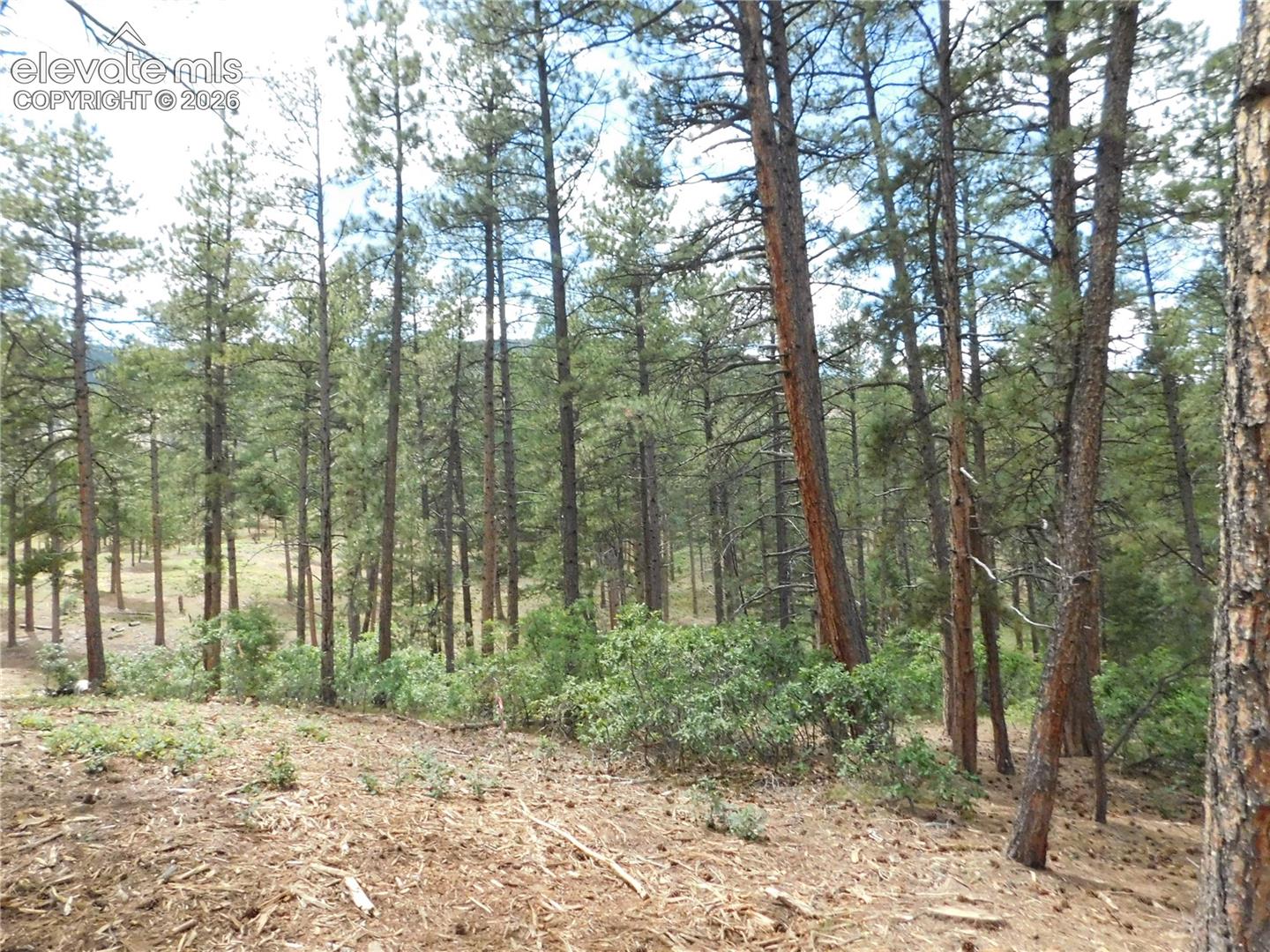 Photo 40 of 8139 Bannock Drive, Larkspur