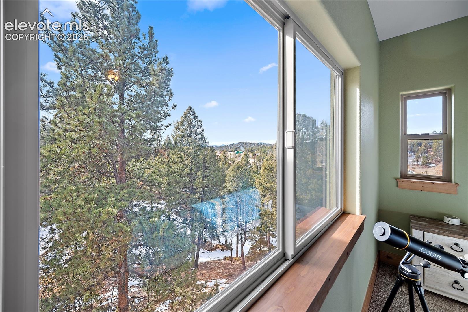 View from Primary bedroom