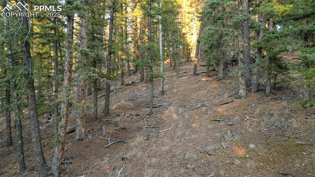 Photo 15 of 1289 Yorktown Road, Cripple Creek