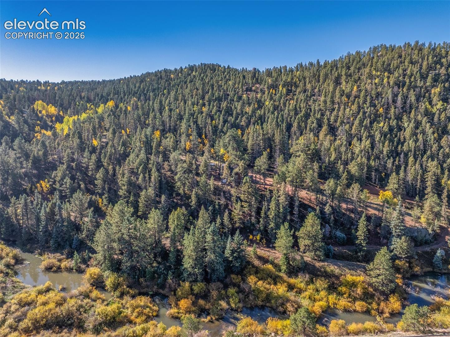 Dense evergreen and deciduous tree coverage, natural waterway, varying topography, and clear blue sky