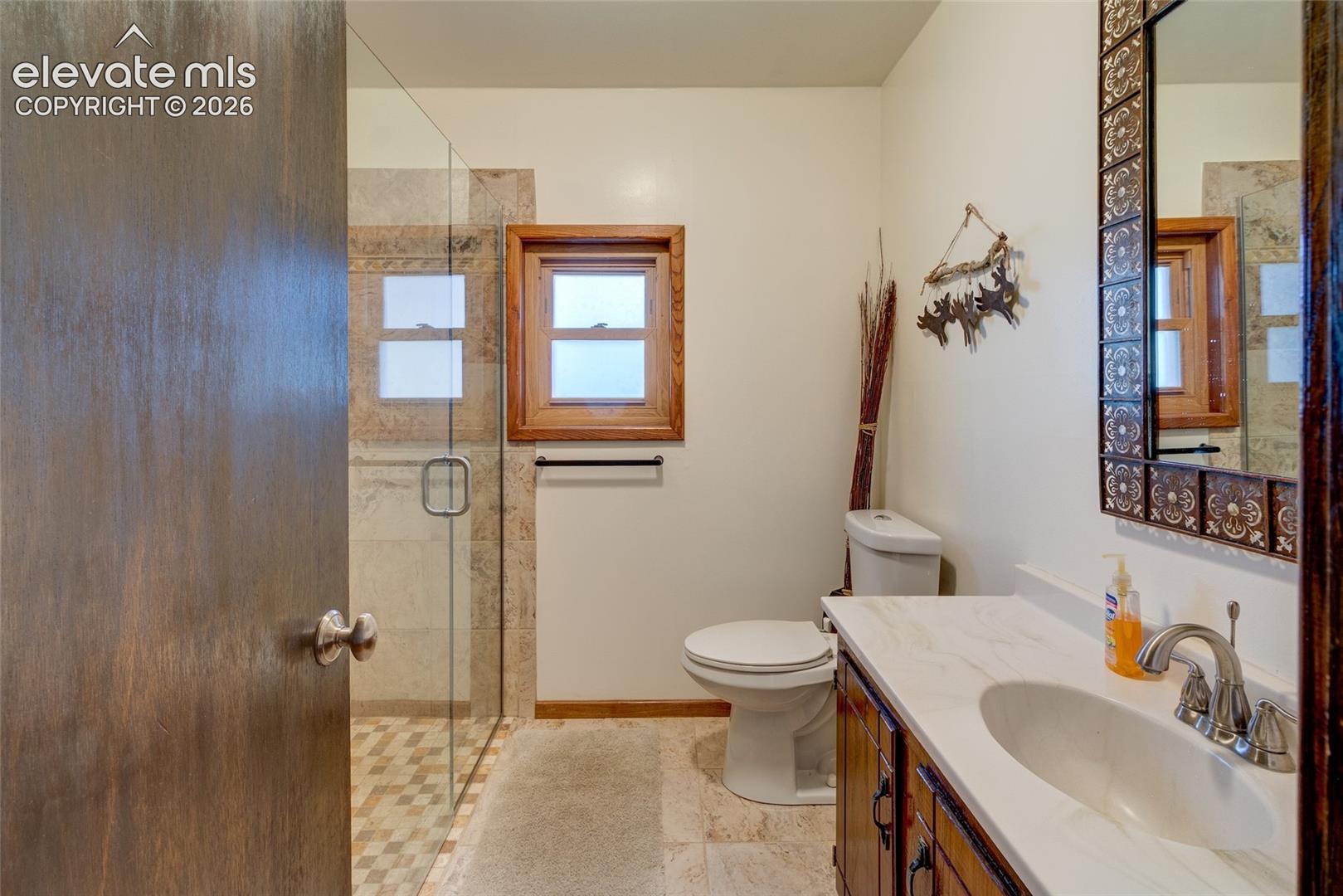 Lower level bathroom