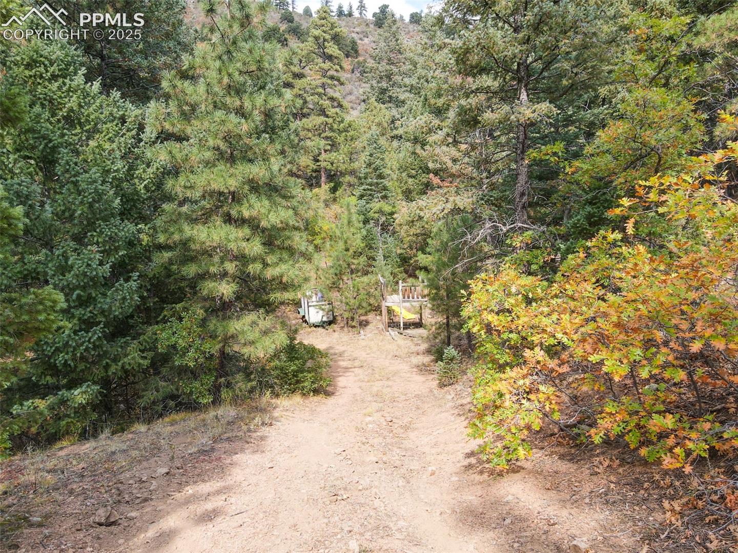 Photo 9 of 4950 Little Turkey Creek Road, Colorado Springs
