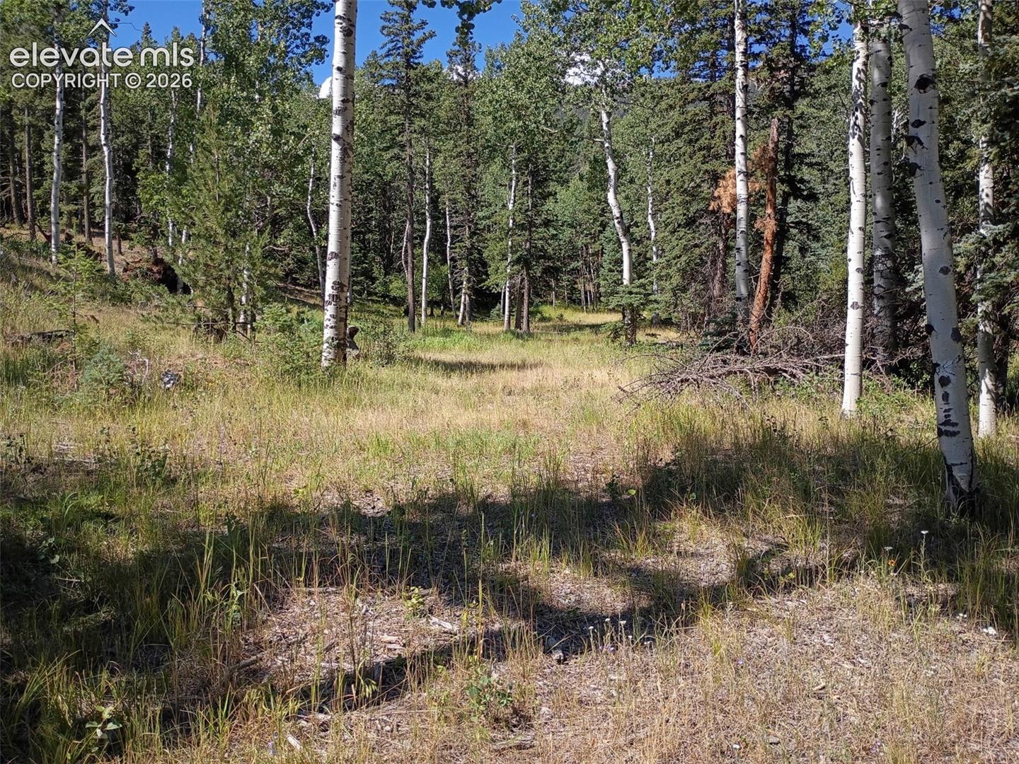 146 Waterfall Loop, Manitou Springs, CO 80829