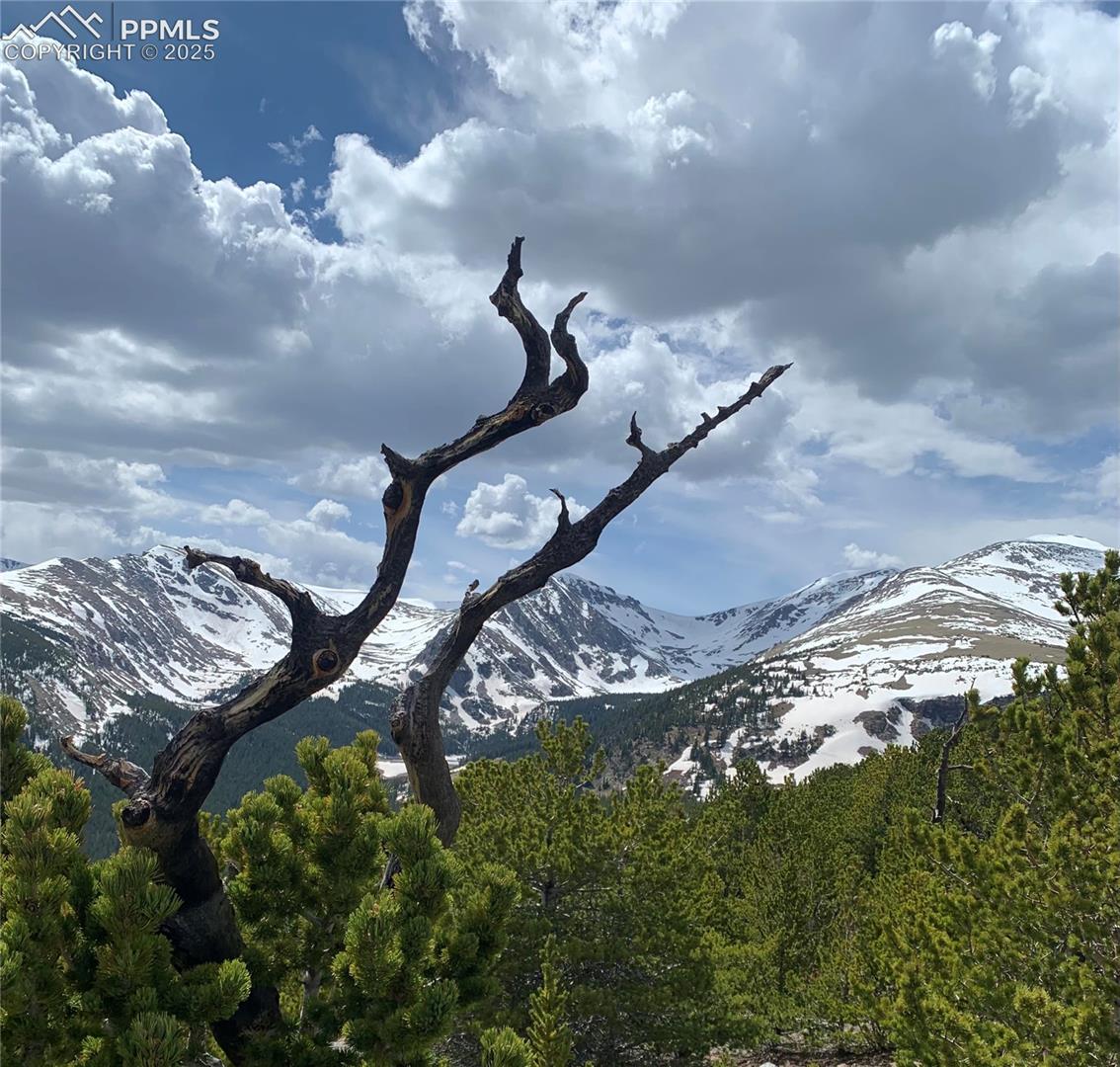 Photo 13 of Hilltop Road, Idaho Springs