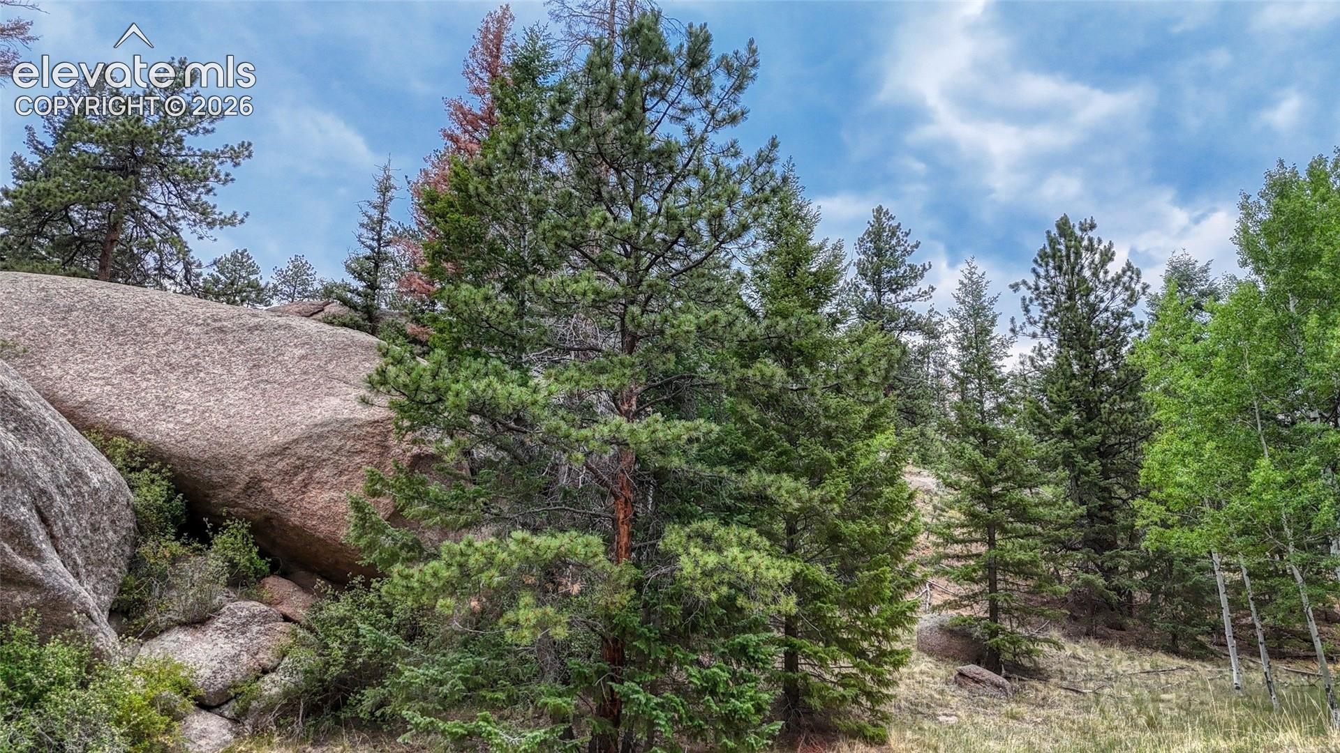 Photo 21 of 830 Pinon Lane, Florissant