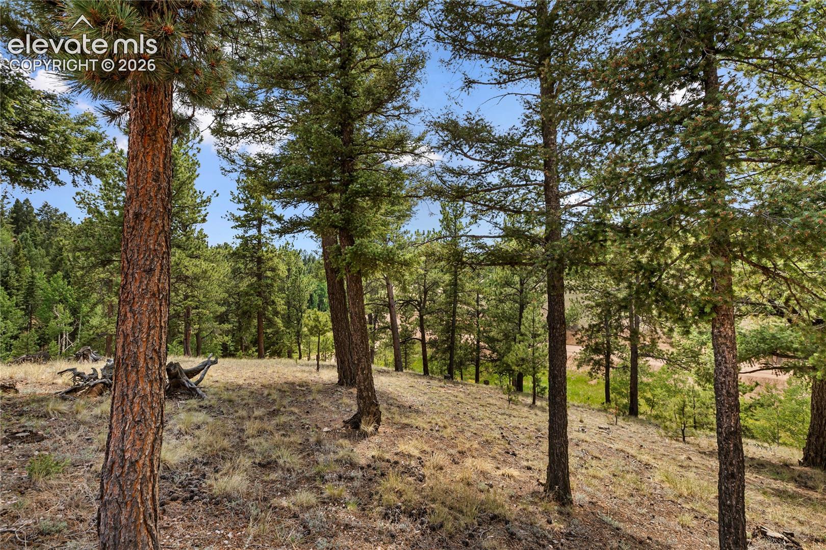 Photo 9 of 185 Bear Lake Circle, Divide