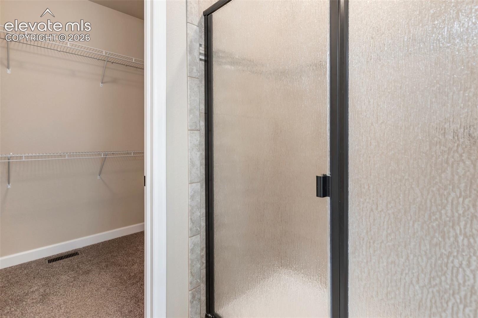 Frosted glass shower door and Large Walk-In Closet