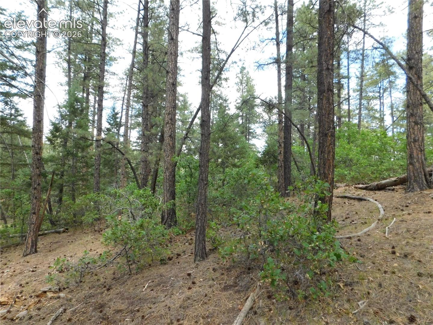 Photo 26 of 8139 Bannock Drive, Larkspur