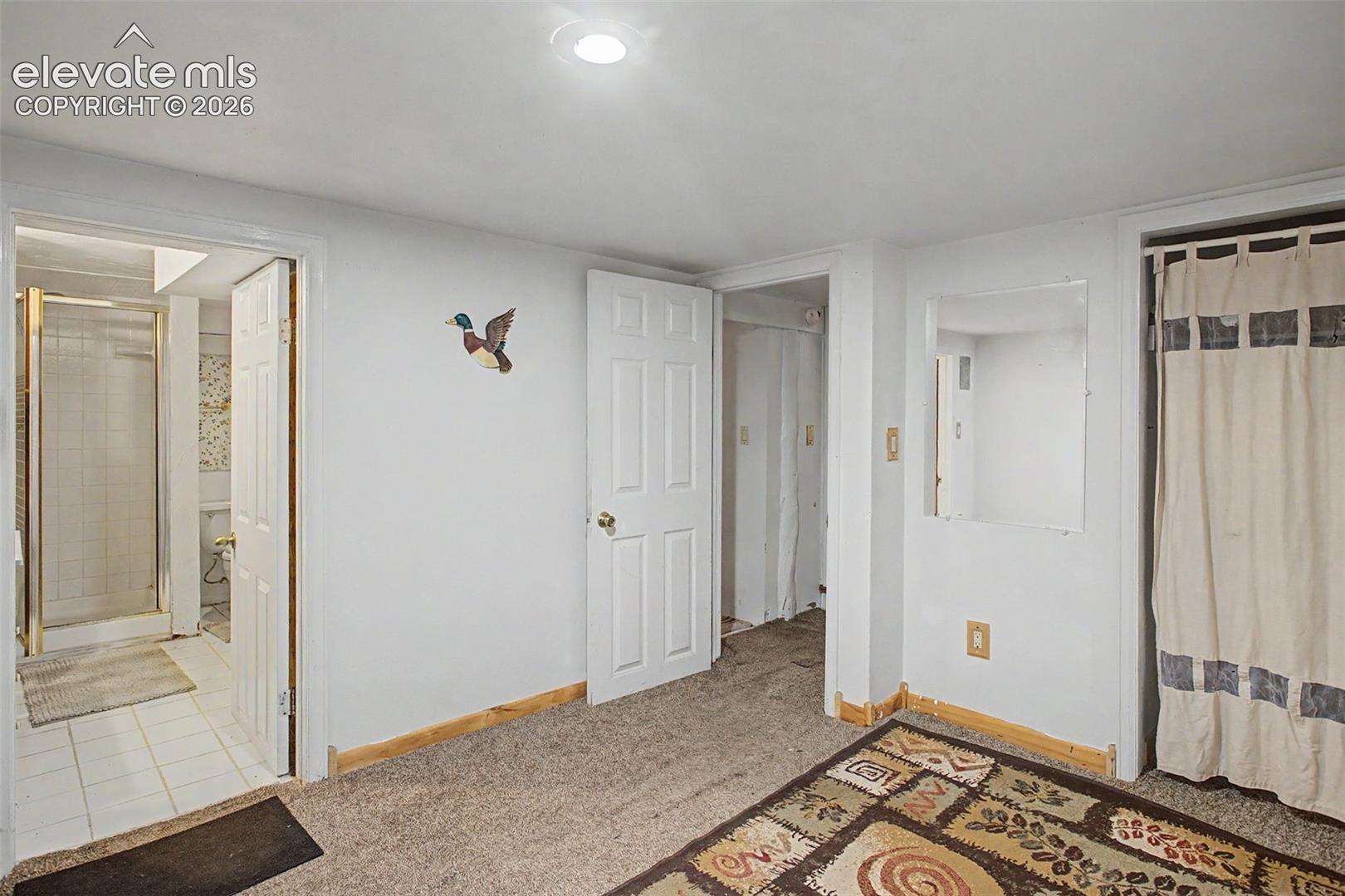 Basement Suite