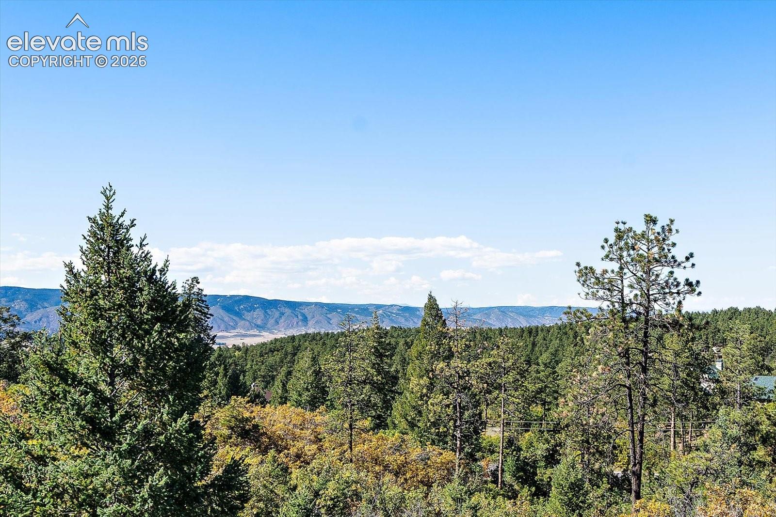 Expansive landscape featuring dense evergreen forests and distant mountain ranges under a clear sky