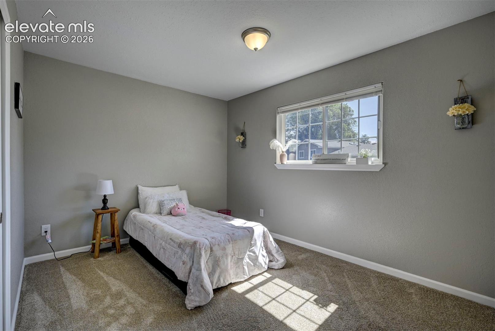 Neutral-toned interior featuring wall-to-wall carpeting, a multi-pane slider window with a deep sill, and a central dome-style ceiling light fixture