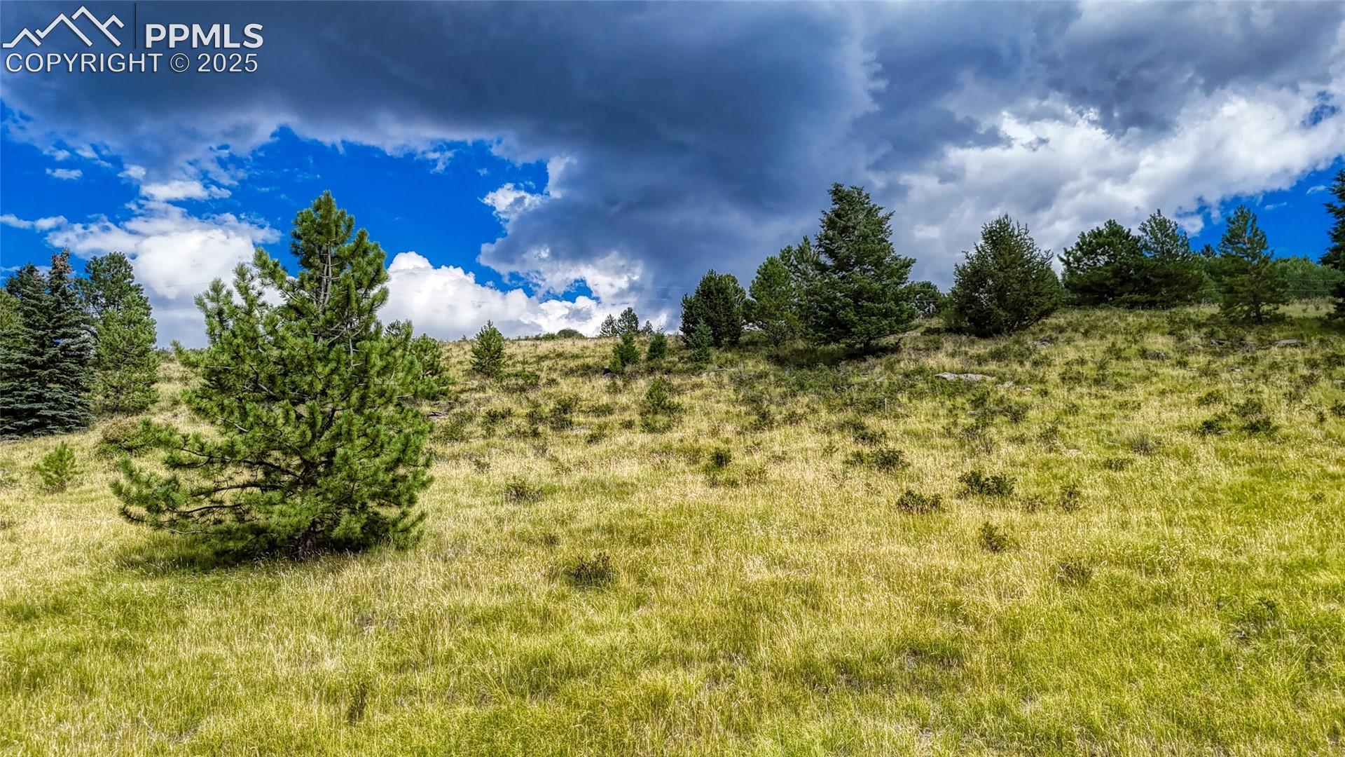 Photo 10 of 972 Anges Drive, Cripple Creek