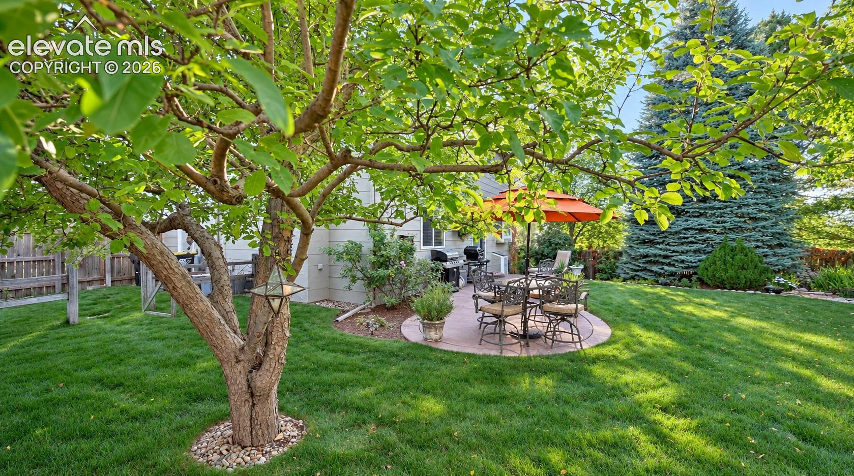 View of the patio surrounded by lush green grass and full grown trees for privacy and shade.