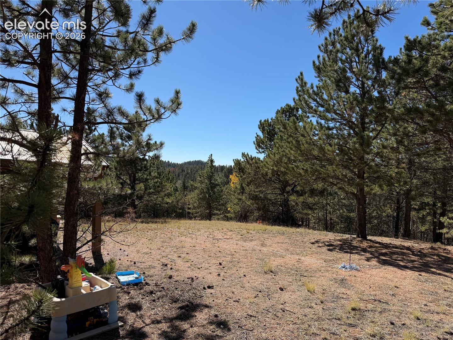 Expansive lot featuring mature pine trees, native vegetation, and a mountain backdrop