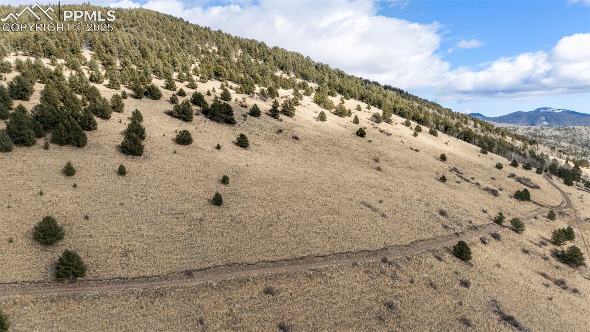 Photo 13 of Private Road, Cripple Creek