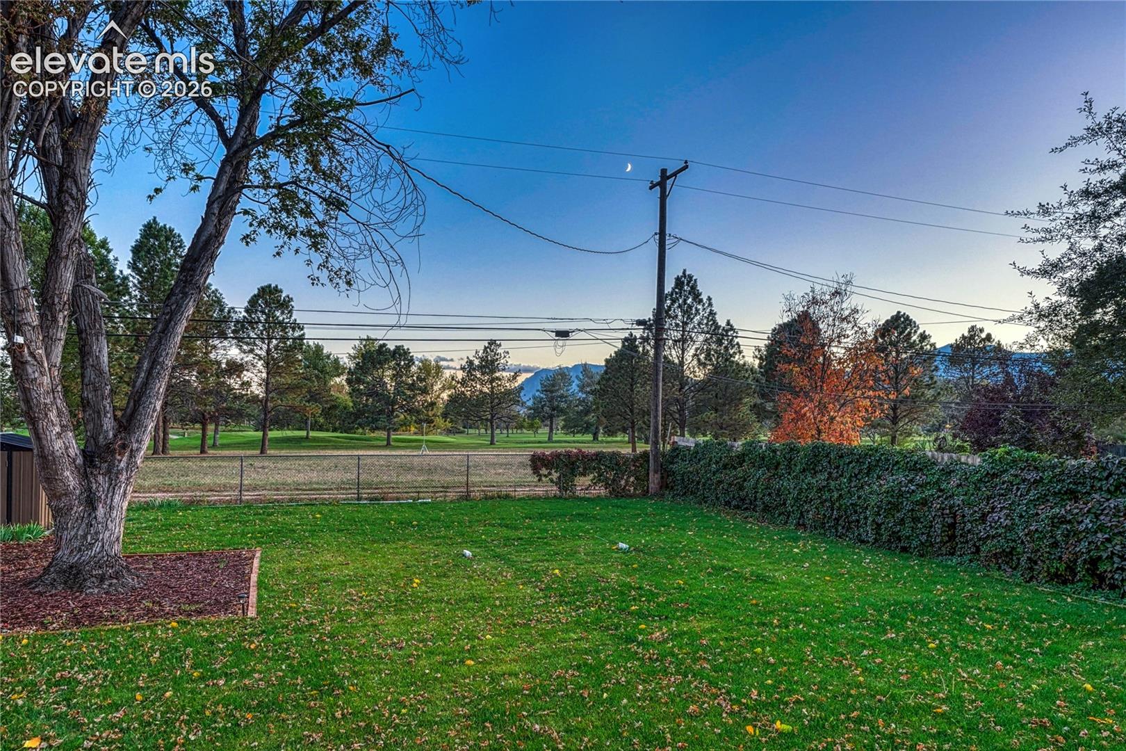 Expansive backyard featuring a lawn area, mature trees, dense perimeter hedging, and mountain scenery