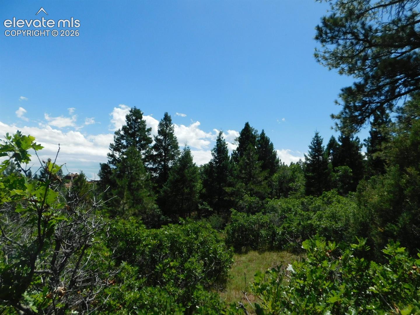 Photo 30 of 6447 Thunderbird Road, Larkspur