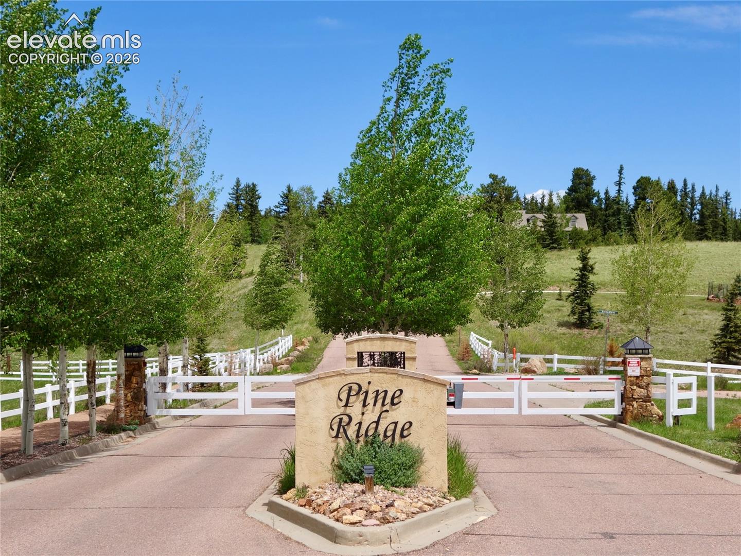 Photo 8 of 307 Pinaceae Heights, Divide