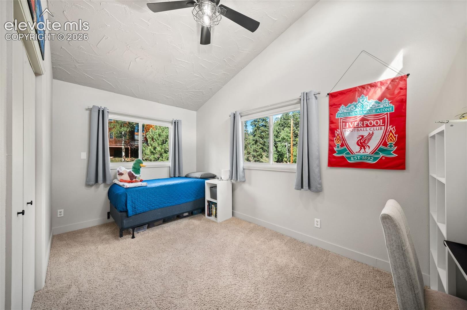 Photo 19 of 330 W Ridge Drive, Woodland Park