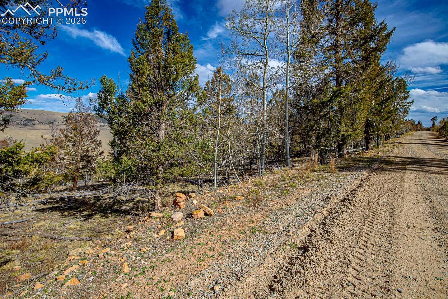Photo 31 of 5302 Middle Fork Vista, Fairplay