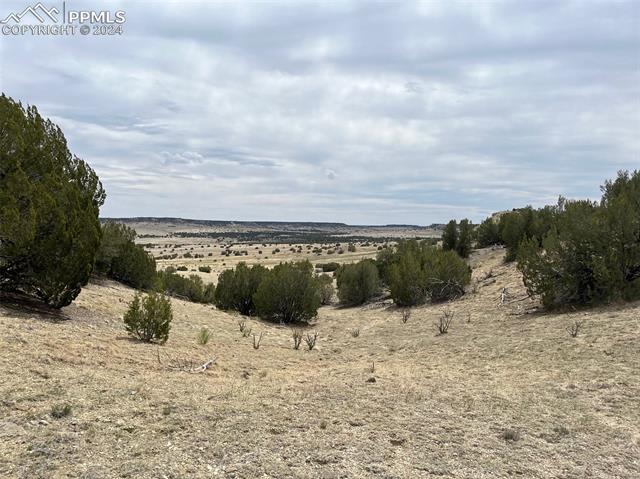 Photo 12 of Black Horse Drive, Pueblo
